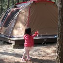 바다와 솔향기 이미지