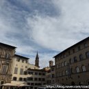 무위자연-태양 | 자발적 무위 20251130 11월 총정리