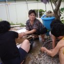 힐링캠프팬션 B 이미지