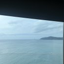 (주)리빙홀릭 | 부산여행 DAY2_해리단길 나가하마만게츠, 듀플릿, 소품샵, 편집샵, 조현갤러리, 빨간떡볶이, 요트투어...