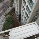 역삼-1745 이미지