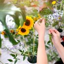 대한종합인테리어 이미지