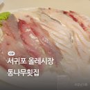 서귀포통나무집 | 서귀포 올레시장맛집 회포장 통나무횟집 찐리뷰
