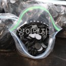 동양이앤지