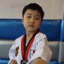 대산태권도 이미지