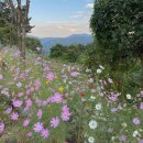 태안가곡제 | 제1회 태안예술가곡제 연주 후기