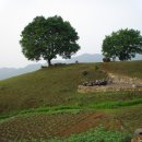 장독대민박 이미지