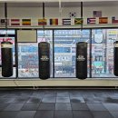 모던복싱 이미지