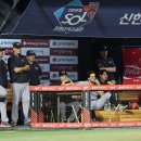 쌍방울잠실