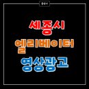 (주)엘디와이 이미지