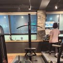 데일리피티 이미지