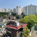 본동 이미지