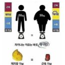 스피닝&점핑 이미지