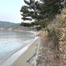 장곡아래 | 안면도 해루질 펜션으로 선택한 태안장곡펜션 스파펜션 추천
