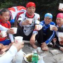 성남사 - 보성군 채동선로 198-1 | 성남사