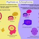 psychedelic vs psychotic vs schizo 이미지