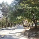 한국토지보상 행정사사무소 이미지