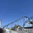 씨월드 피시 이미지