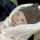 원케어텍 | 아기 예방접종 BCG 경피용,내피용&amp;로타릭스,로라텍 차이와 접종열 해열제