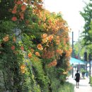 인화여자고등학교 이미지