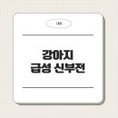 금샘동물병원 이미지