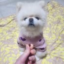 휴먼아이케어 이미지