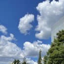 사임당로19길 9 이미지