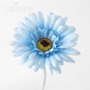 피어나 쇼핑하우