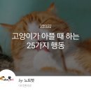 고향이가 아플때 하는 25가지 행동 이미지