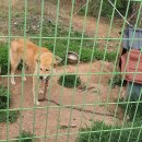 참스민 | .2