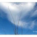 충남 서산권 수로~~~2 이미지
