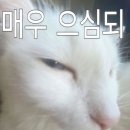 밈