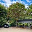 김봉창 코다리 이미지