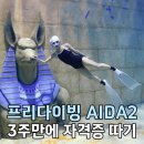 사당역 14번출구 앞 | 프리다이빙 AIDA2 3주만에 자격증딴 후기 (ft.파라다이브 대중교통 꿀팁)