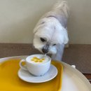 망원 휴개소 이미지