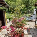 별꽃민박 이미지