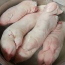 부부왕족발