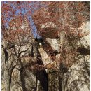운수리111-4 | 지리산중기도터