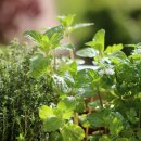 헬씨라이프 이미지