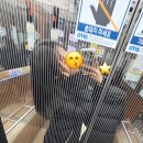 엽기아이스크림 할인점 이미지