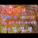 부산 구봉산 단풍 동영상 포함 이미지