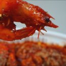 독도해물알찜 이미지