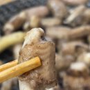 화산곰장어 이미지