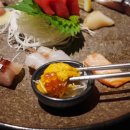 일일시호 이미지