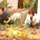 병관농장 이미지