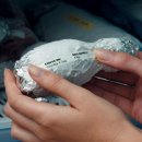 브라더 PC 이미지