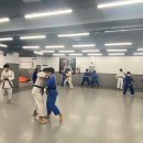 TH 용인대 유도장 이미지