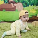 네이처스토리 | 설사로 기저귀 다 새던 시기, 정착한 프리미엄 기저귀｜킨도 기저귀 베베가드네이처 사용 후기