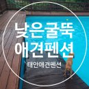 낮은굴뚝 애견펜션 | 낮은굴뚝펜션/태안애견펜션/수영장애견펜션
