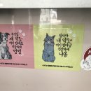 그랜드 동물약국 네이버블로그